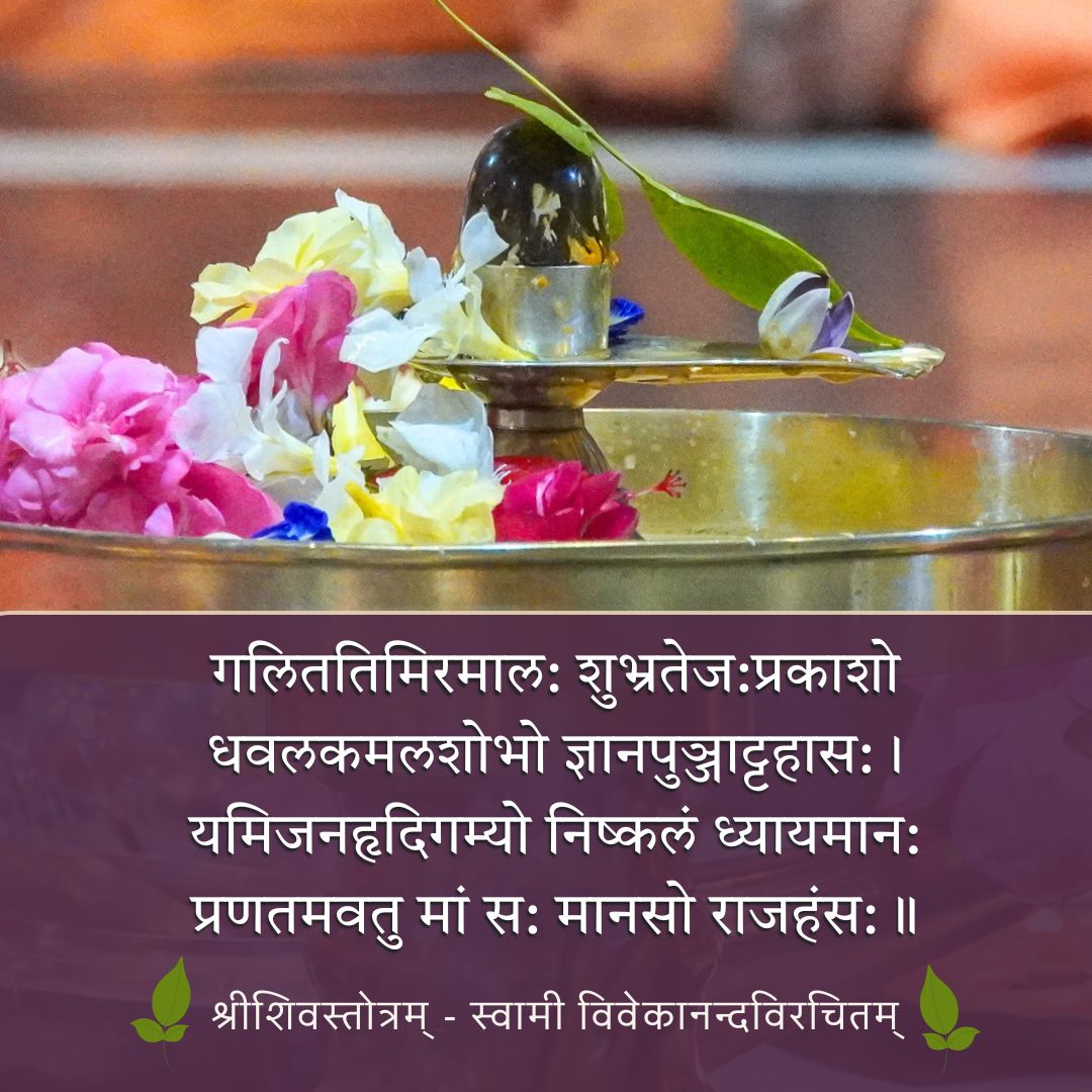 rkmbelurmath's tweet photo. Inspiration : Shivaratri

गलिततिमिरमाल: शुभ्रतेज:प्रकाशो
धवलकमलशोभो ज्ञानपुञ्जाट्टहास:।
यमिजनहृदिगम्यो निष्कलं ध्यायमान:
प्रणतमवतु मां स: मानसो राजहंस:॥

~  Swami Vivekananda

(Complete Works of Swami Vivekananda – Vol. 4.6.5 A Hymn to Shiva – शिवस्तोत्रम्) https://t.co/Y48cWBzI3S
