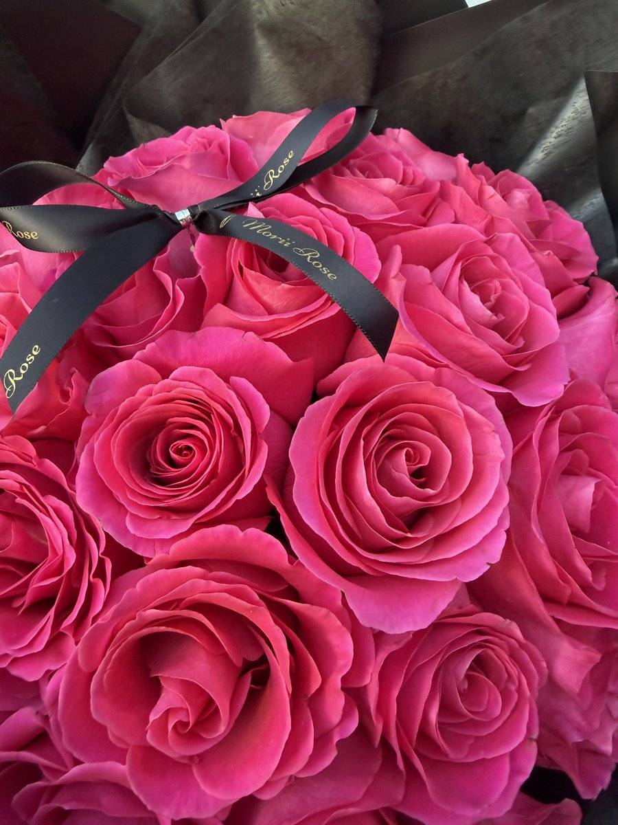 SHASHA美美鲨 tweet media