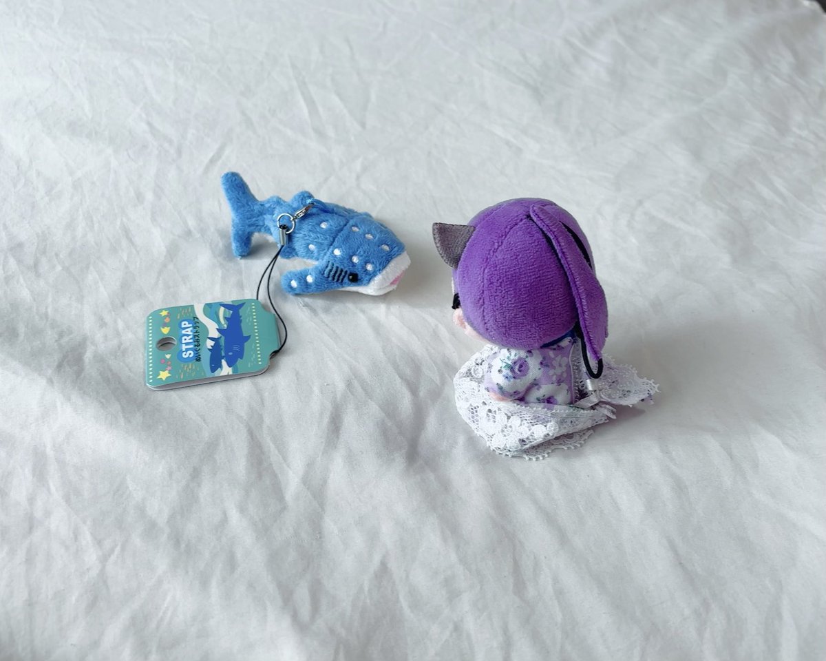 まろ🦊 (@maro_188x160) on X