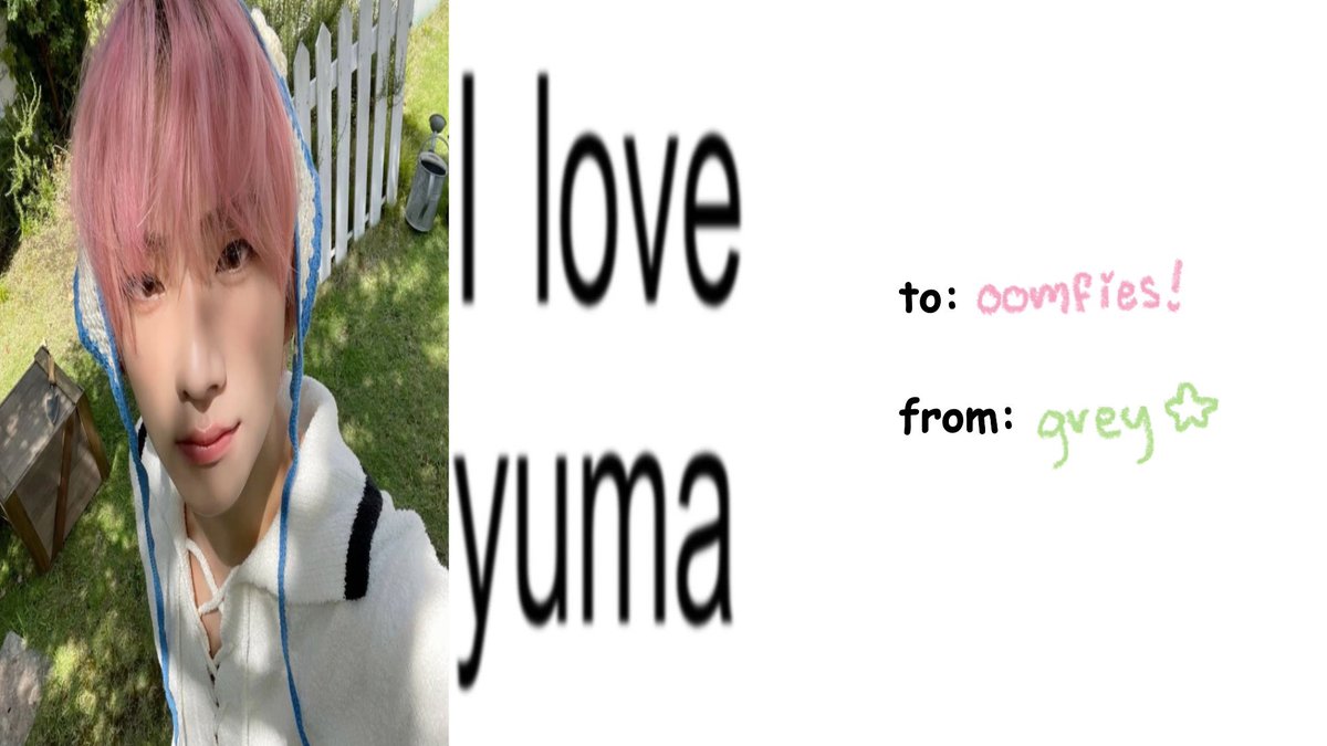 grey ☆ tweet media