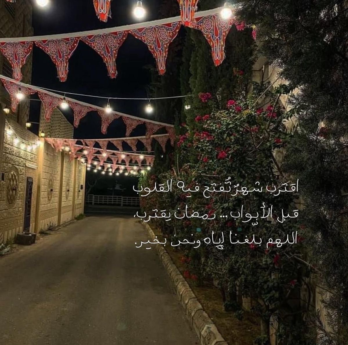 Y12ll9's tweet photo. https://t.co/EEG7AKH3DJ