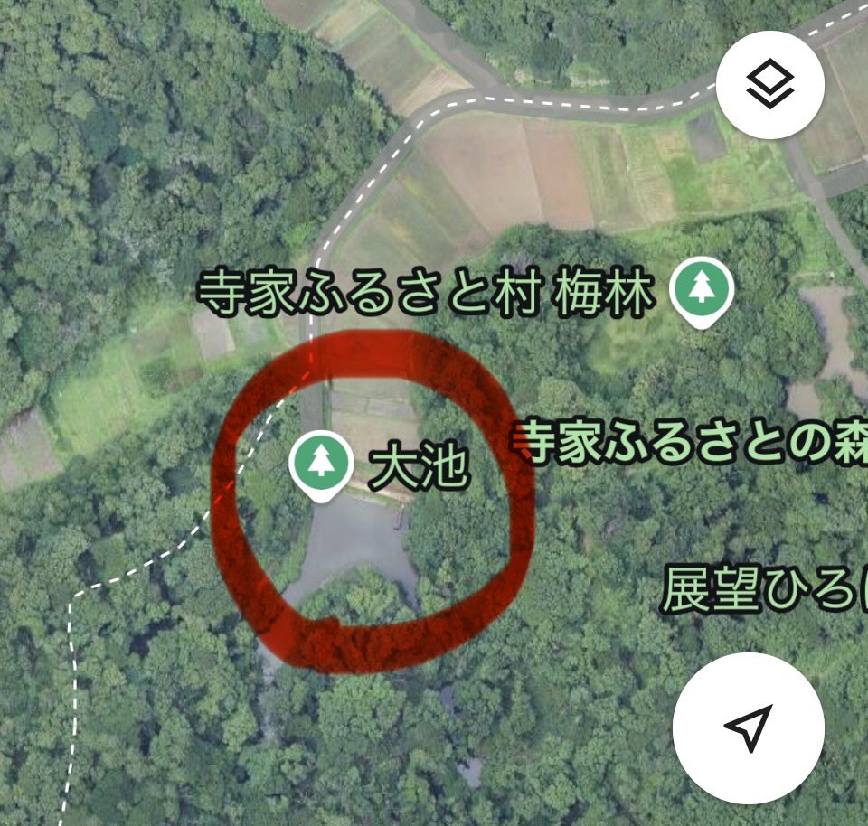MAP171 tweet media