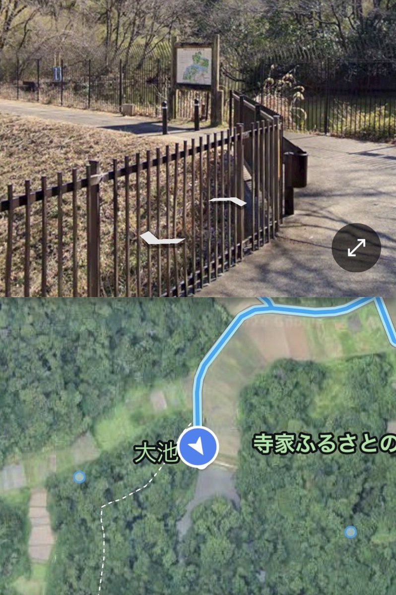 MAP171 tweet media