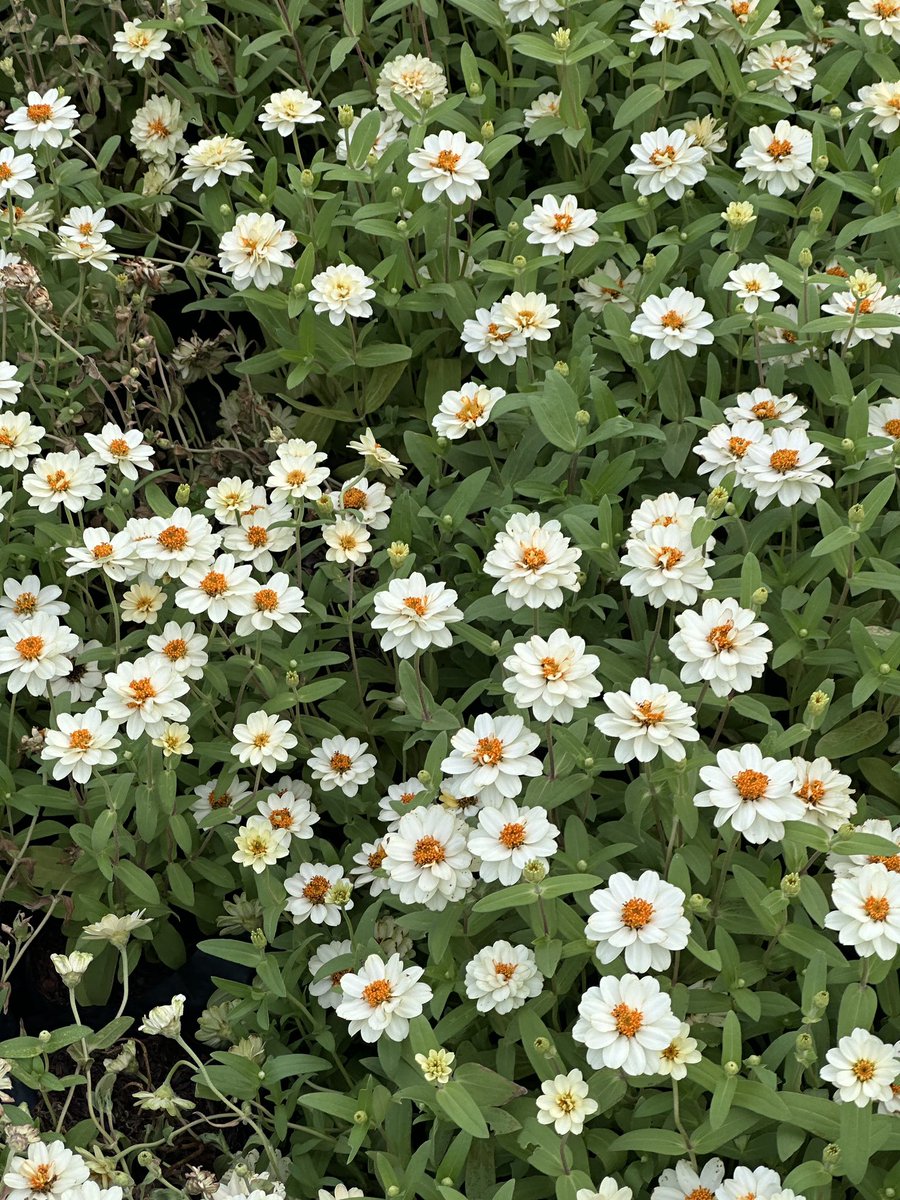 จริงๆกรุงเทพก็มีมุมน่ารักนะ