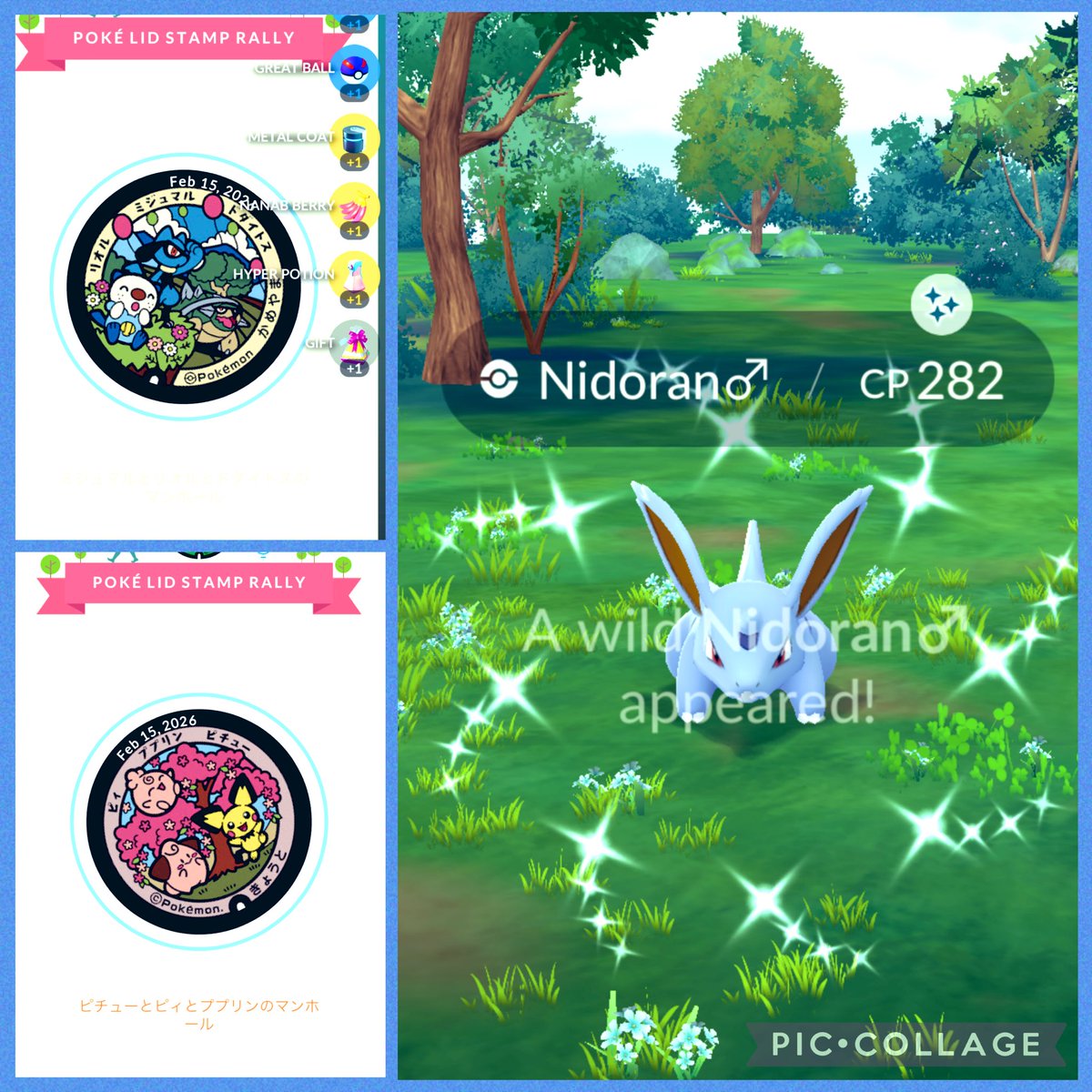 (୨୧•͈ᴗ•͈)◞︎ᵗʱᵃᵑᵏઽ*  🎁 
#ShinyNidoran
#PokemonGO🧢🫶🏻