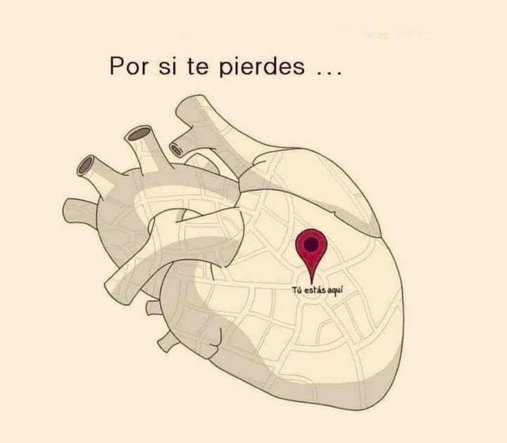 cartodynamics1's tweet photo. Así es mi ♥️🫀 https://t.co/vIUaQrekbj