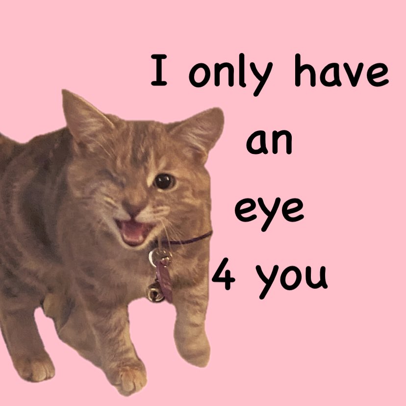 Bonnaroodude tweet media