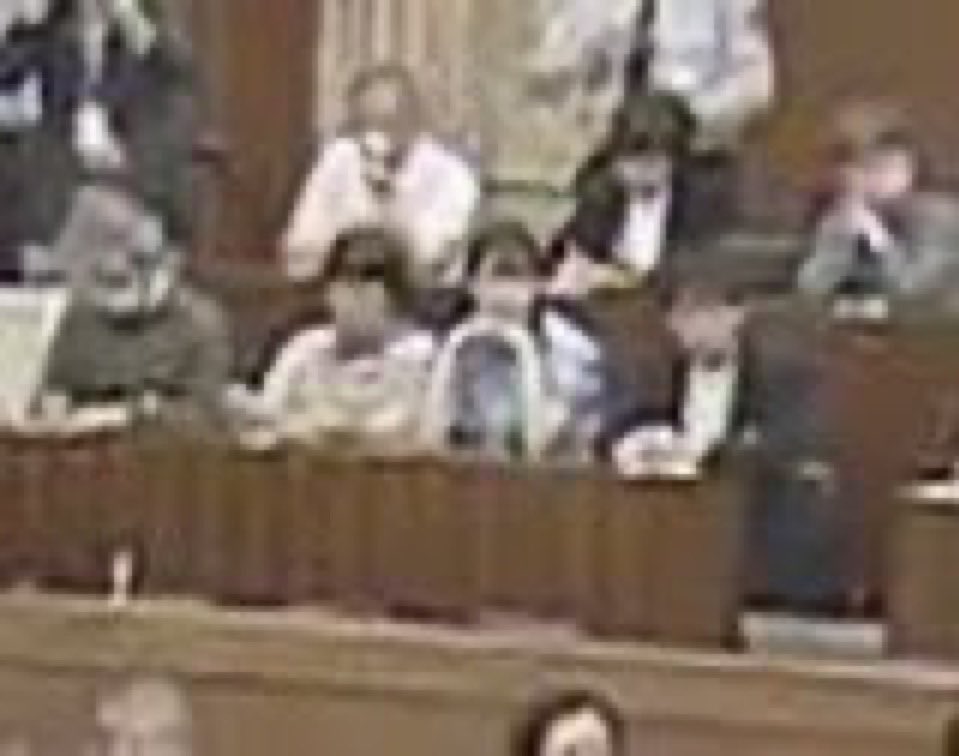 ashitawawatashi's tweet image. けーーーっ！！！
憲法審査会に玉木が復帰！

どのツラ下げて？？？