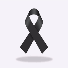 Revista Zócalo tweet media