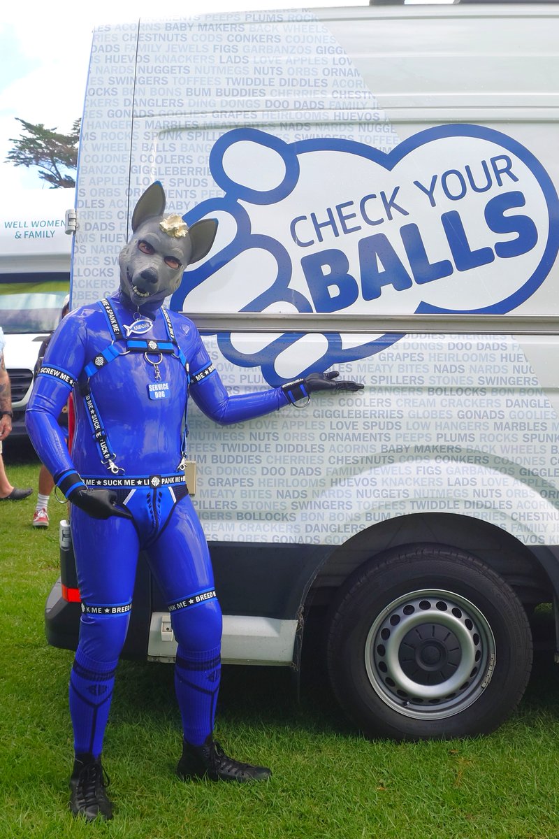 Being a big gay shiny blue service dog at the Big Gay Out today~ ✨💙🐶✨

And remember: Check, your, balls!

Thanks to all the cuties/Auckland Pup pack as well 😘

@ Big Gay Out, Coyle Park, Auckland 🇳🇿

#RubberPup #HumanPup #Pupplay #Rubber #Latex #Rubberboy
#BigGayOut #BGO2026