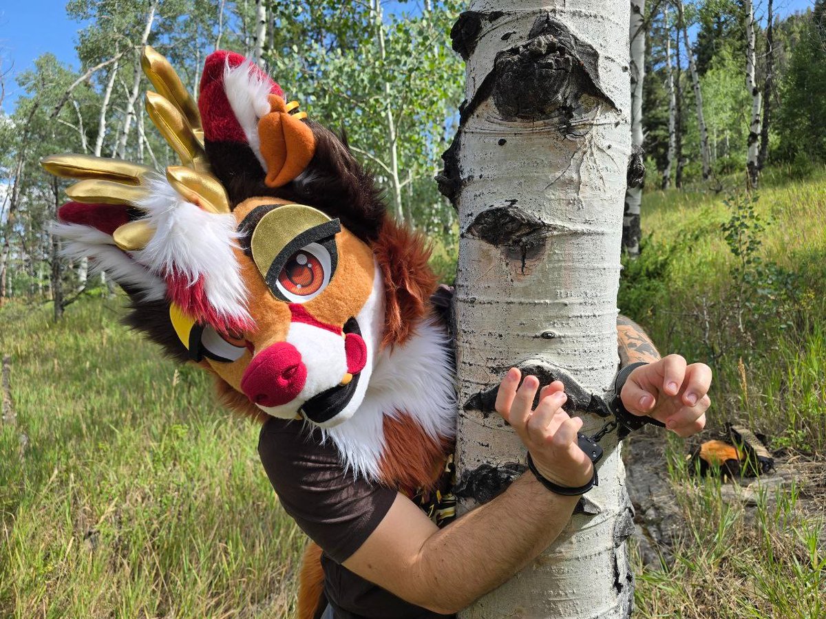 Aero 🔞 tweet media