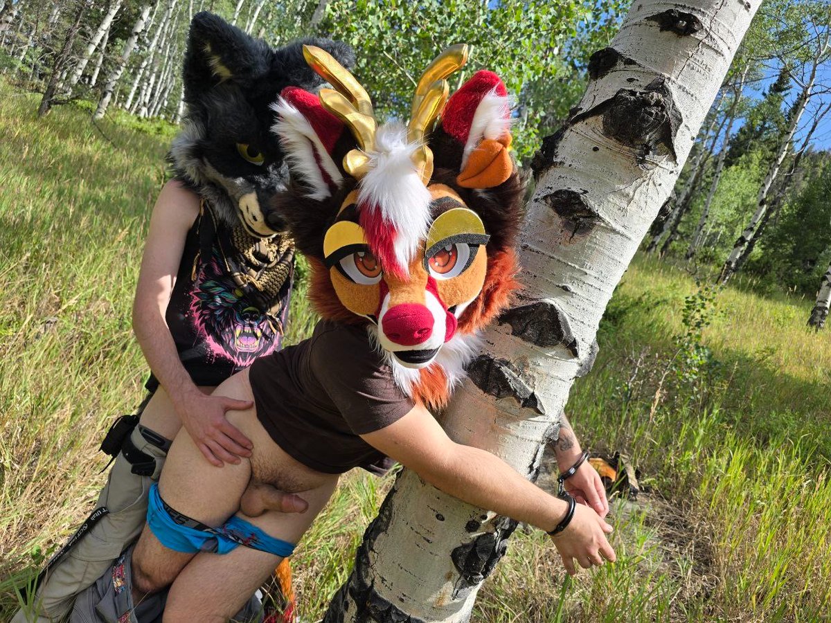 Aero 🔞 tweet media