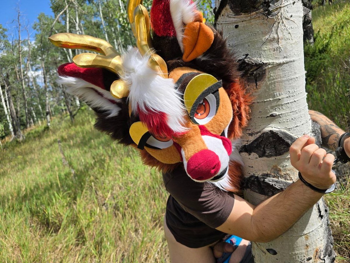 Aero 🔞 tweet media