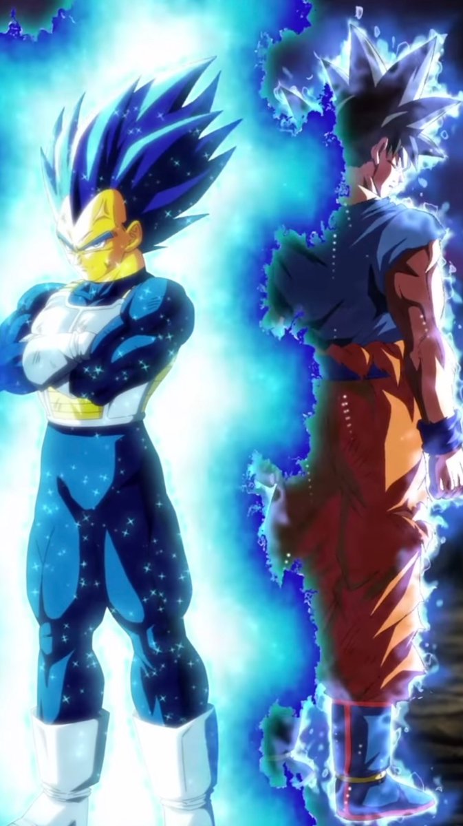 Greatest duo ever released in the history of Dokkan. They work so well as a Tag.
#RivalsUniteInDokkan #DokkanBattle