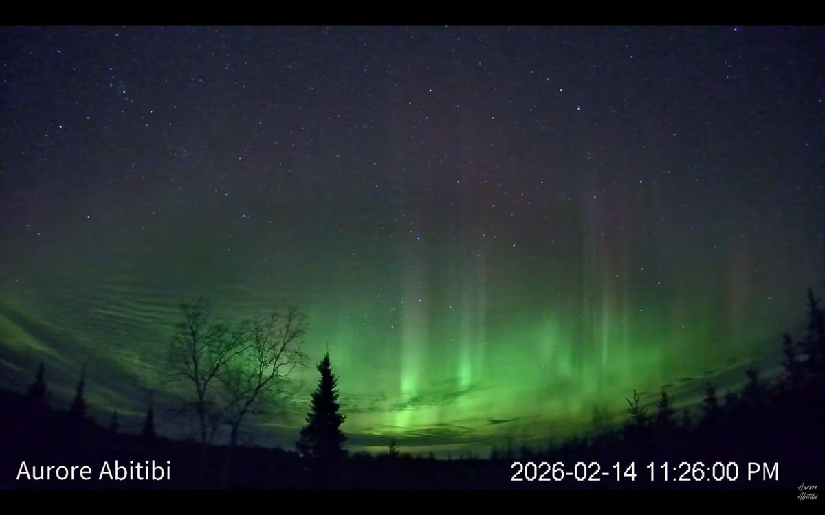 今日、2月15日 #Canada #Quebec 州 #Abitibi(北緯49度)のライブカメラ