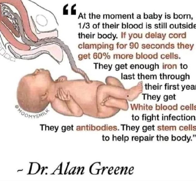 healthbot (@thehealthb0t) on Twitter photo 