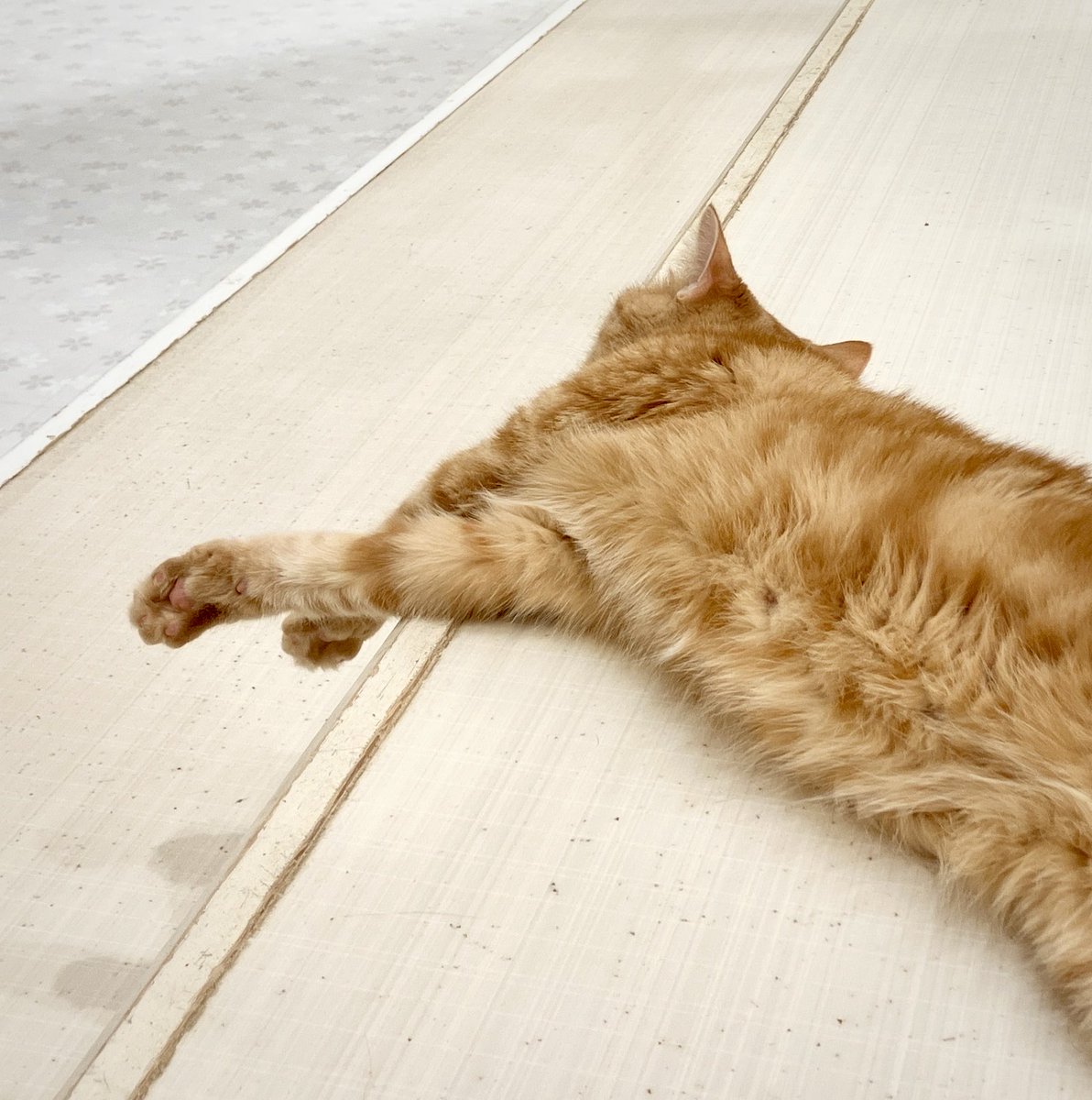 おててのクロスがセクシィ
影が可愛いぃ💕