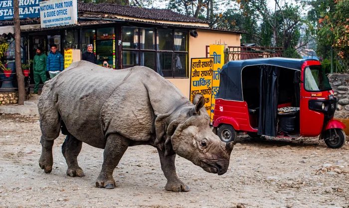 الخط الأخضر tweet media