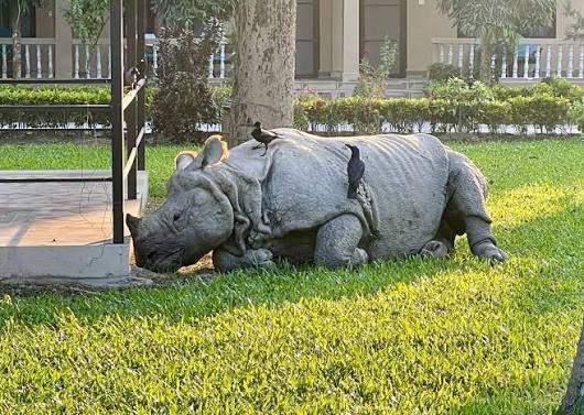 الخط الأخضر tweet media