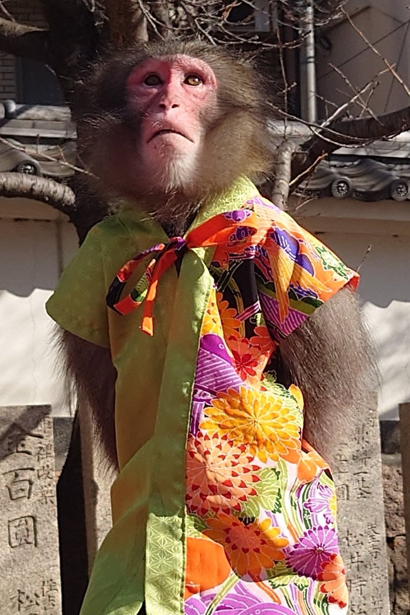 タオくん 公演場所から見えるビル建設作業が気にって仕方がないタオくん