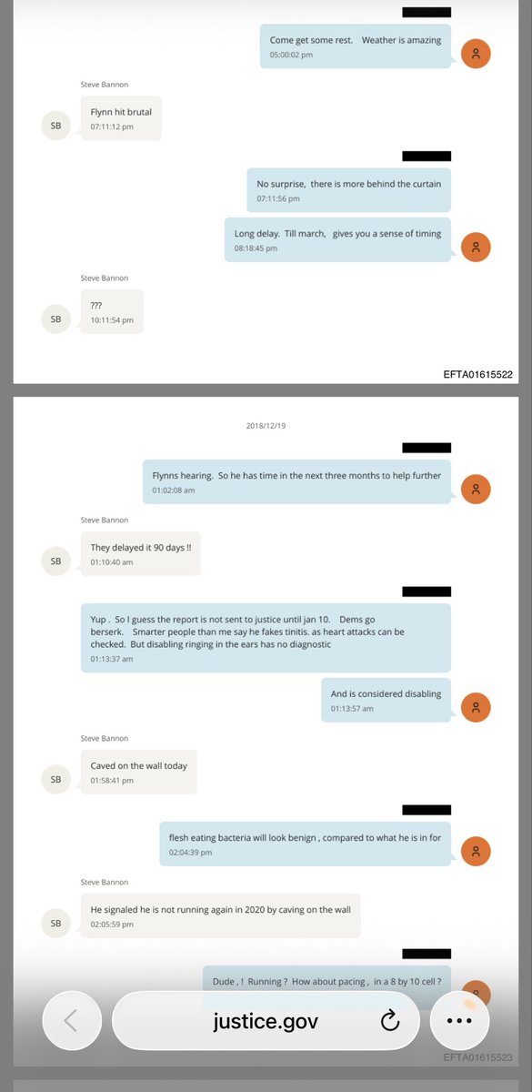 2018/12/18
Bannon: Flynn hit brutal

Epstein: No surprise, there is more behind the curtain

Epstein: Long delay. Till march, gives you a sense of timing
Bannon: ???

Epstein: Flynns hearing. So he has time in the next three months to help further

Bannon: They delayed it 90