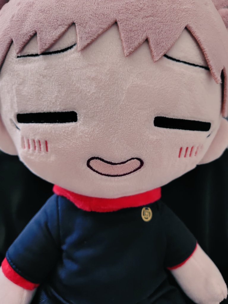 お迎えしました。
ようこそ我が家へ。