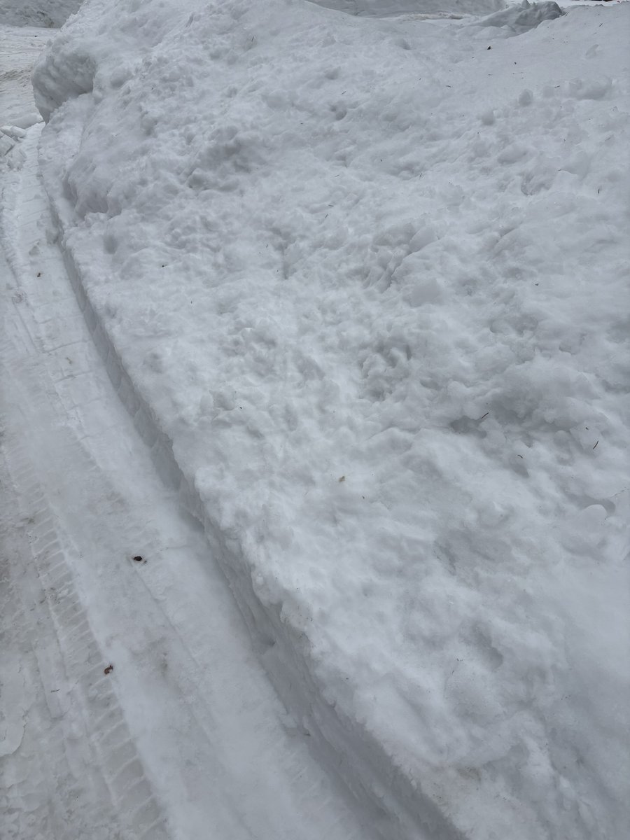 本日は暑いですね（6度）
春の足音が聴こえてきそうです