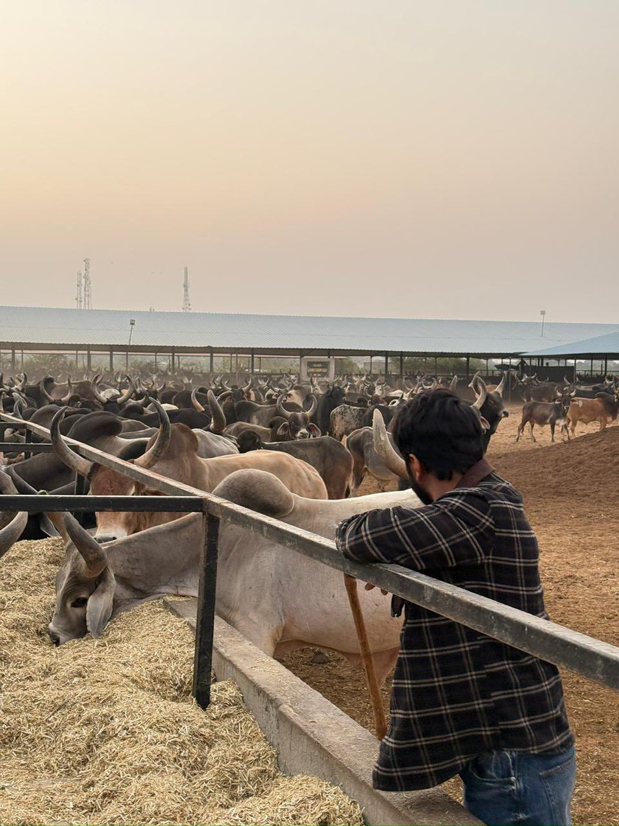 sonu sood tweet media