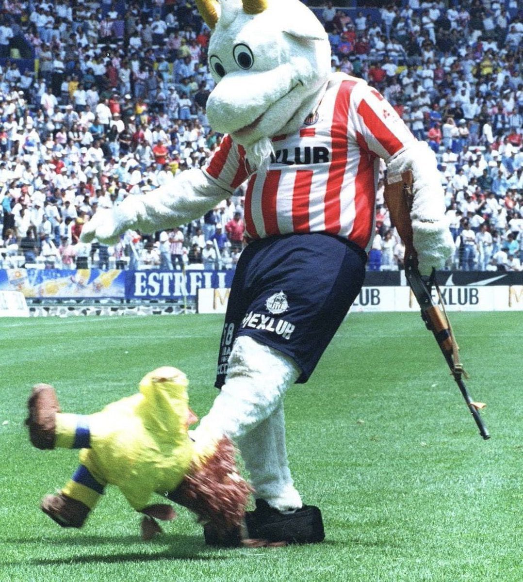 Camila Camacho tweet media