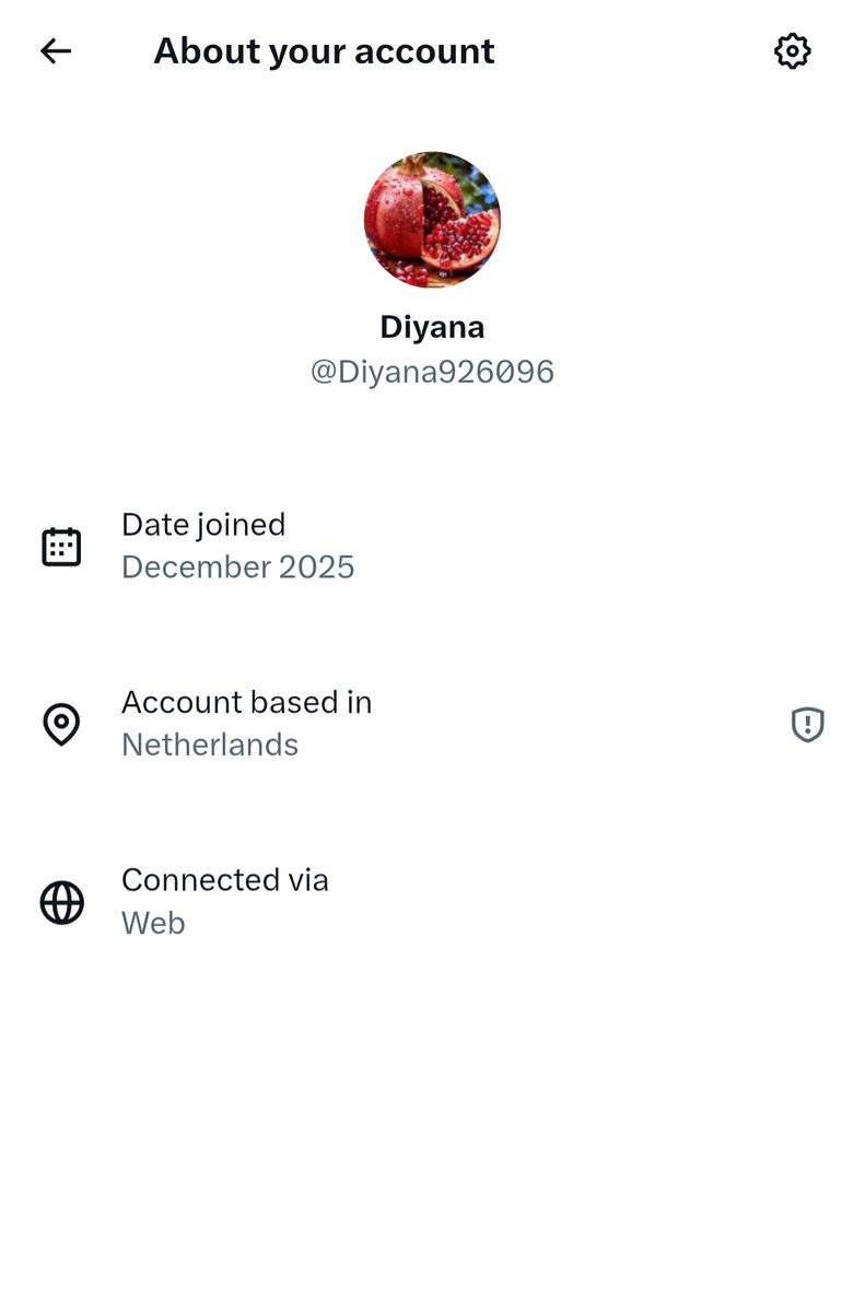 Diyana Jin tweet media