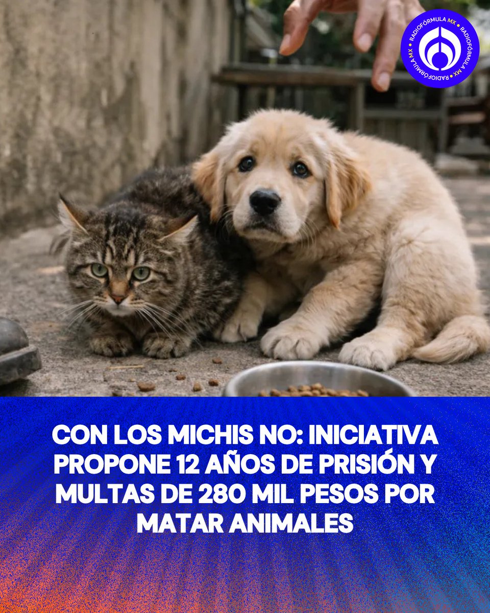 ¡Hasta 12 años en la cárcel y 281 mil pesos! 🫵😡es La defensa de los animales en la CDMX dio un nuevo paso en el terreno legislativo con la presentación de una iniciativa que busca endurecer las sanciones para quienes maltraten o provoquen la muerte a “lomitos” y “michis”.

Más