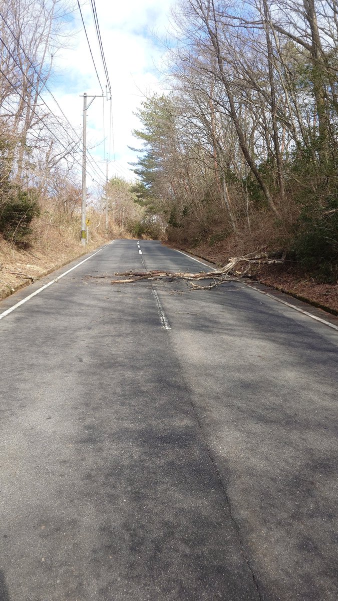 バイクのおっちゃんとどかした😅