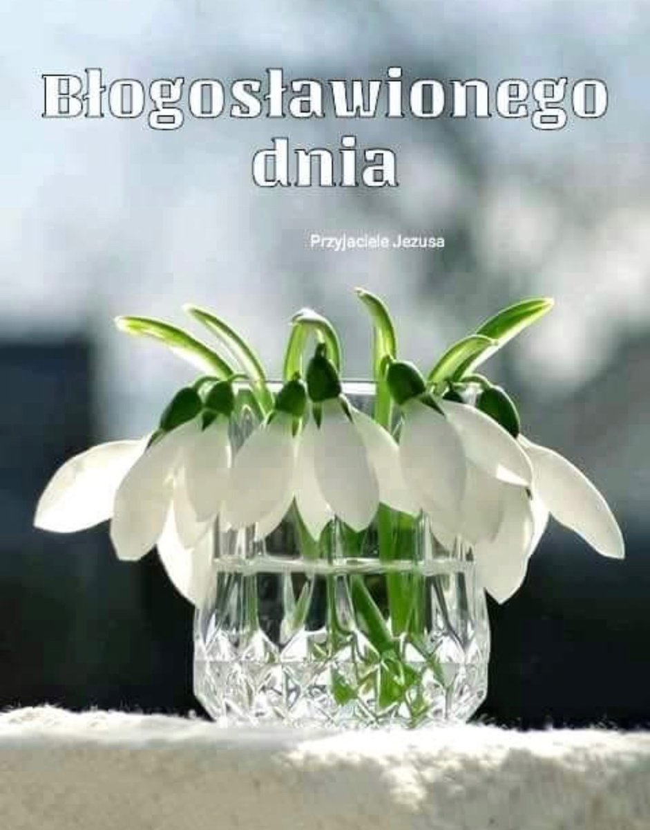 Niech PAN Cię błogosławi!+