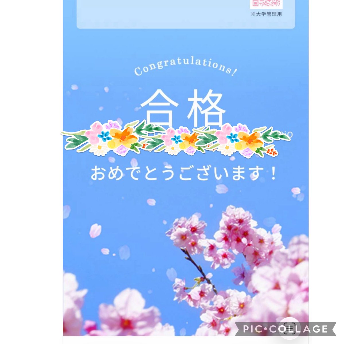 紅 tweet media