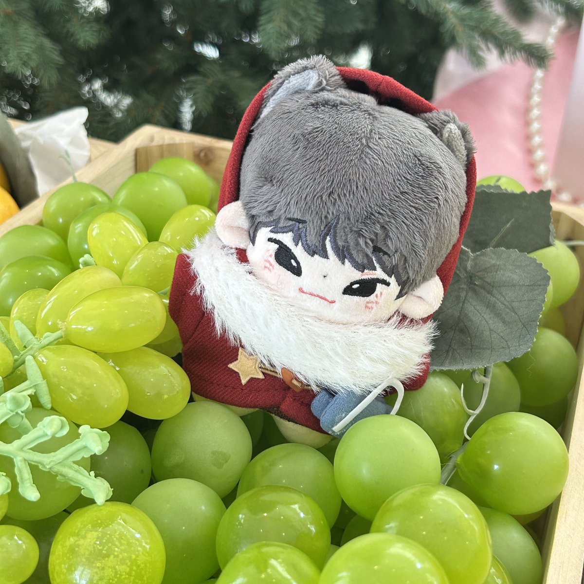 🐱🐹 #이준호 #LEEJUNHO #JUNHO #준호 #ジュノ