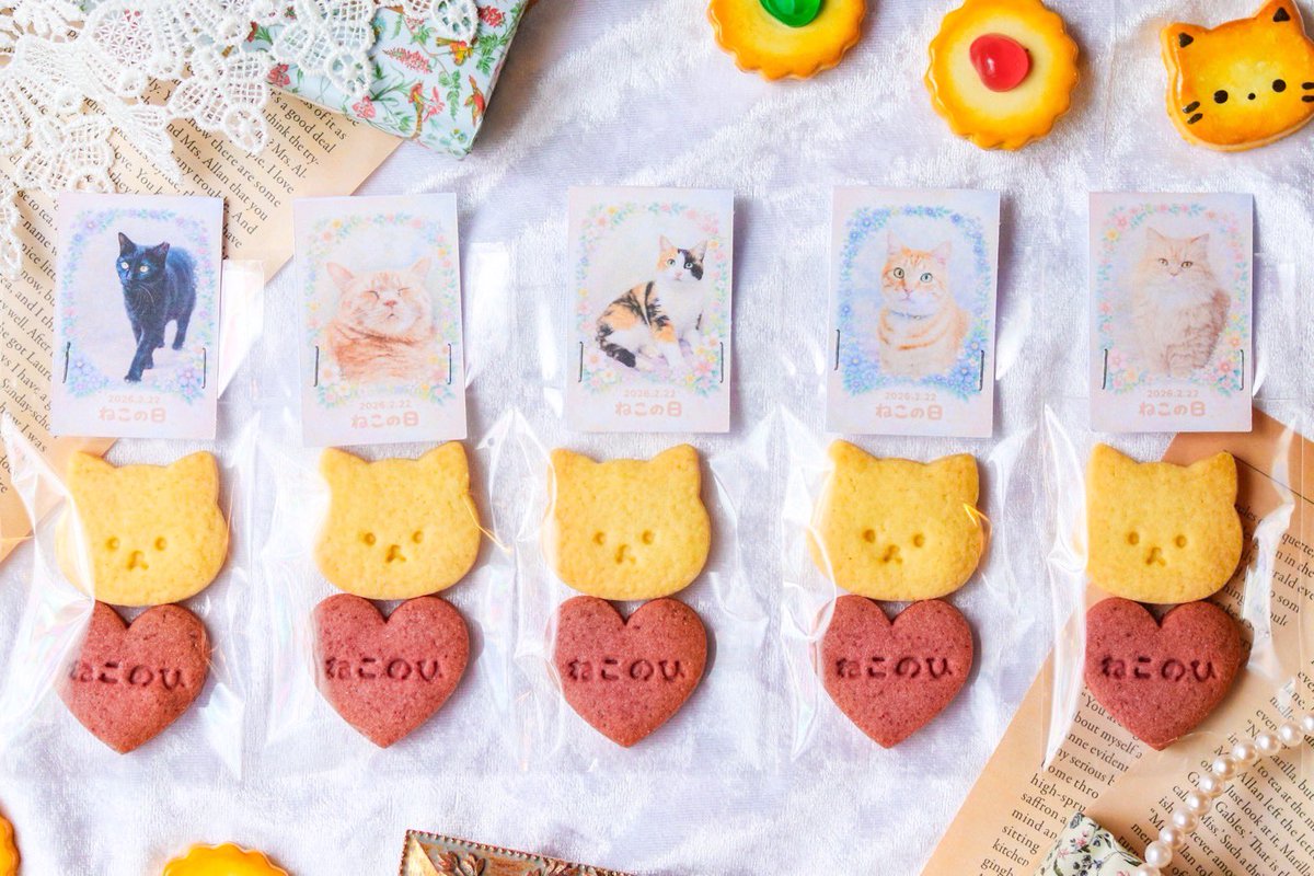 🐈‍⬛🎀 ねこの日イベント 🎀🐈

2月21日〜ねこの日イベント開催✨

ご来店の方へ
ささやかなプレゼント🎁

🧡ねこクッキー配布します🧡

なんと…
＼お店の猫たちイラスト全16種類🐾／
ランダムでのお渡しになります✨

どの子が当たるかはお楽しみ…🤍

※約70個限定／なくなり次第終了です