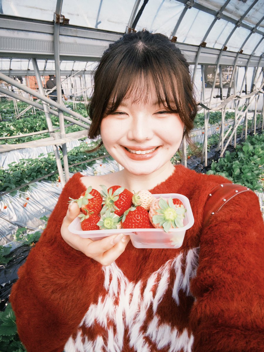 🍓
#いちご狩り #近藤いちご園 #JJ #model