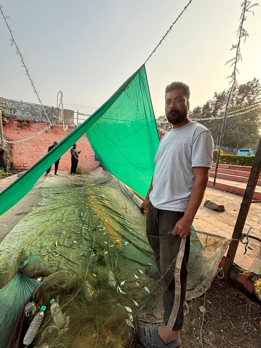 vipinvyas's tweet photo. FISHCOUNT in Bhoj Wetland of Bhopal https://t.co/nKD5RkMdOu