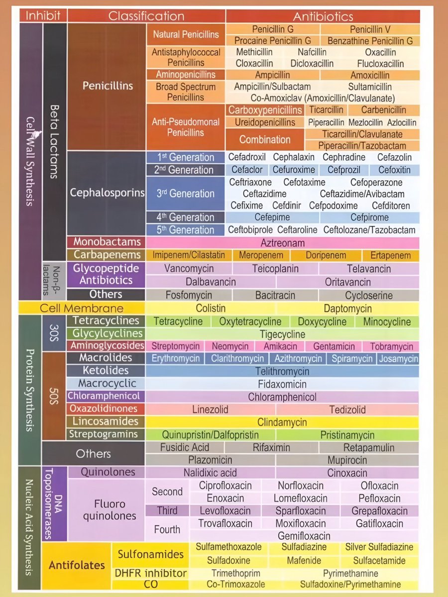 Antibiotics Classification