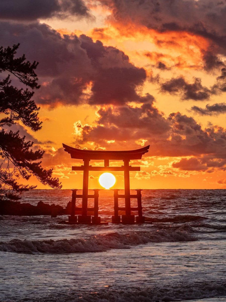 Ahmet Duran Hergün tweet media