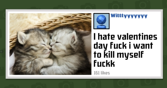 SuperKitty (@superkitty__) on Twitter photo 