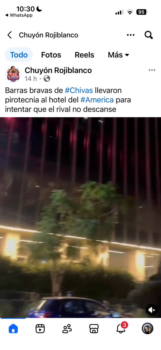 Justicia y D Animal tweet media