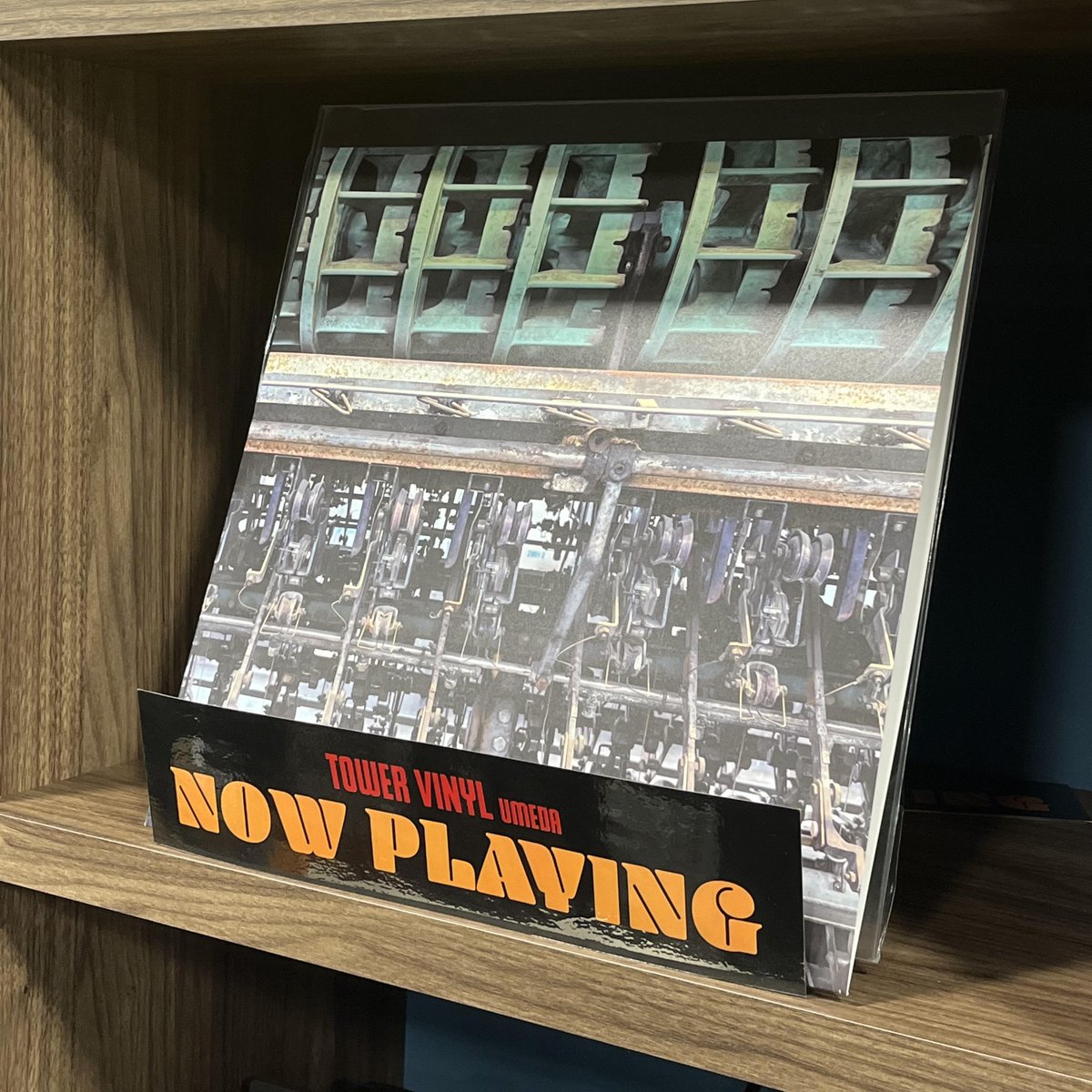 【#LOLOET】

LOLOET 1st album『環響音』
店頭分入荷しました

社会問題への意識も含みつつ、心地よい生活の営みが続いていくような一枚。アナログで聴くと「Le poisson」～「les yeux」～の流れがより最高！

フィジカルリリースはレコードのみ。
スタッフイチ推し⟡.·
tower.jp/item/7927537