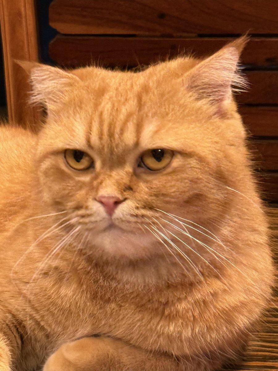 😡😡😡

APPLEMIM VALENTINE DINROSE
#วิวาห์ปฐพีตอนที่4