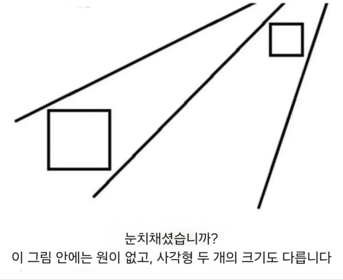 밈 번역계 tweet media