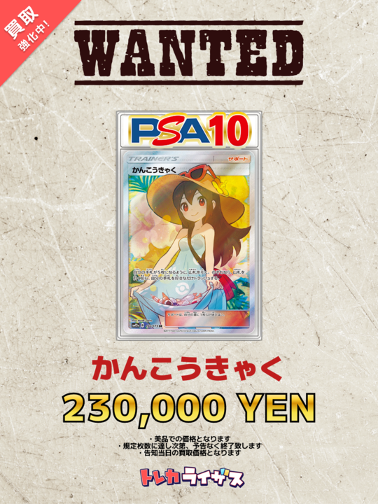 WANTED】 🌺👒✨🌺👒✨🌺👒✨🌺👒✨🌺 かんこうきゃく PSA10 ¥230,000