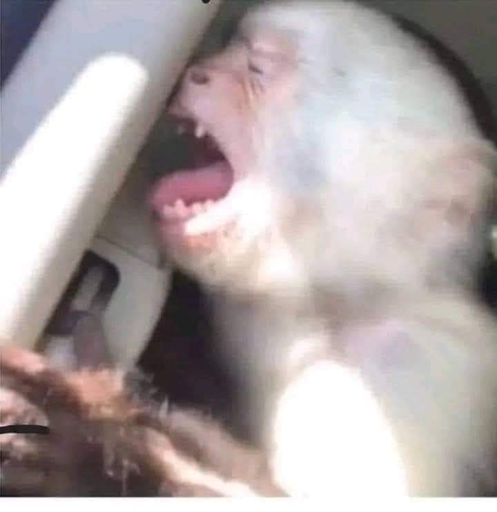 𝕿𝐇𝐄 𝕷𝐄𝐀𝐃𝐄𝐑 — RESERVAS ABIERTAS. ‍ 〞 (@darkagerp) on Twitter photo 