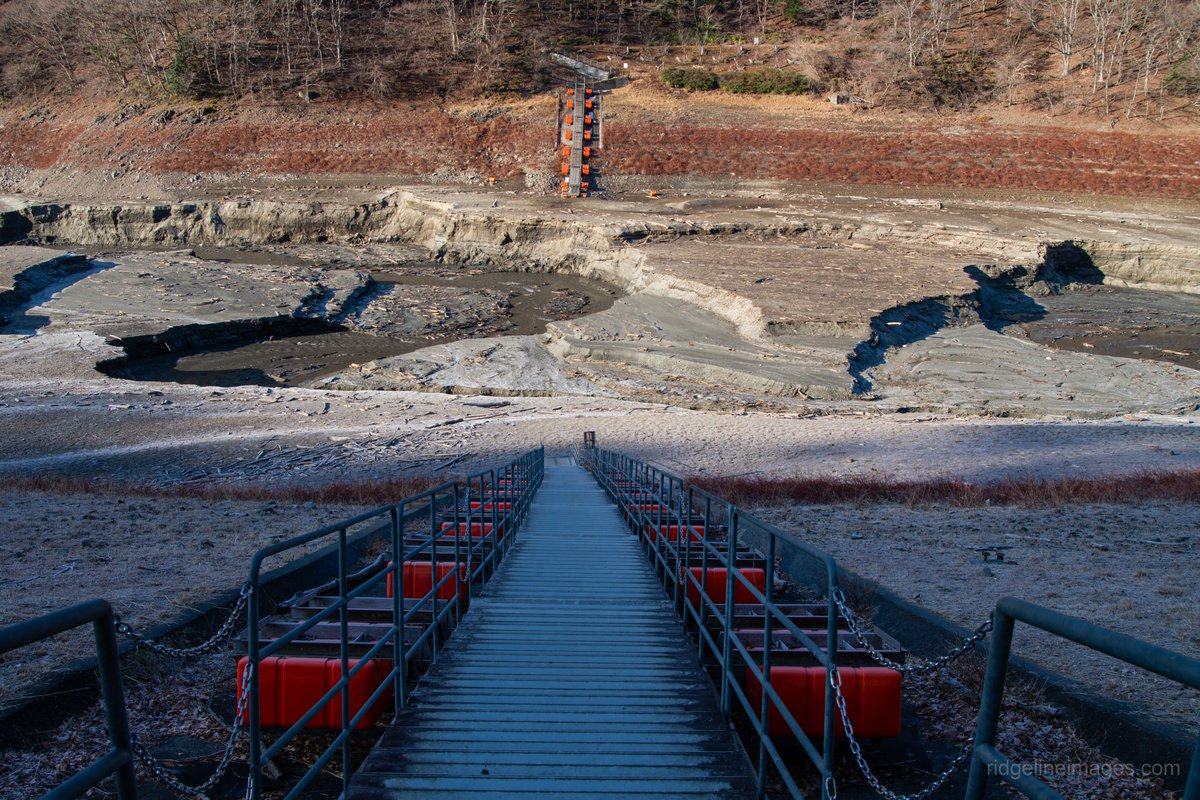 David Lowe tweet media