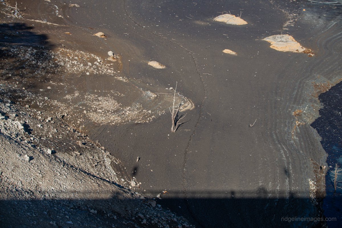 David Lowe tweet media