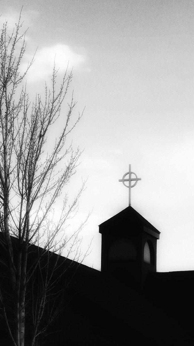 tomadies tweet media